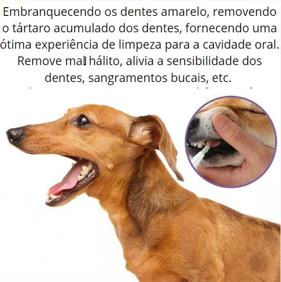Caneta de Limpeza para Pets- Dentes mais limpos e bonitos