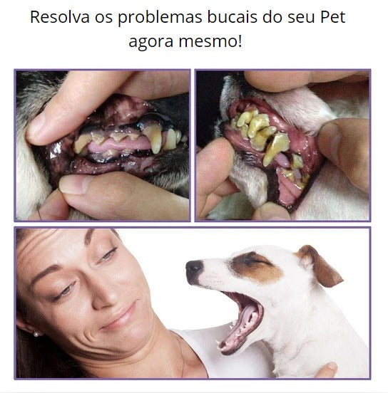 Caneta de Limpeza para Pets- Dentes mais limpos e bonitos